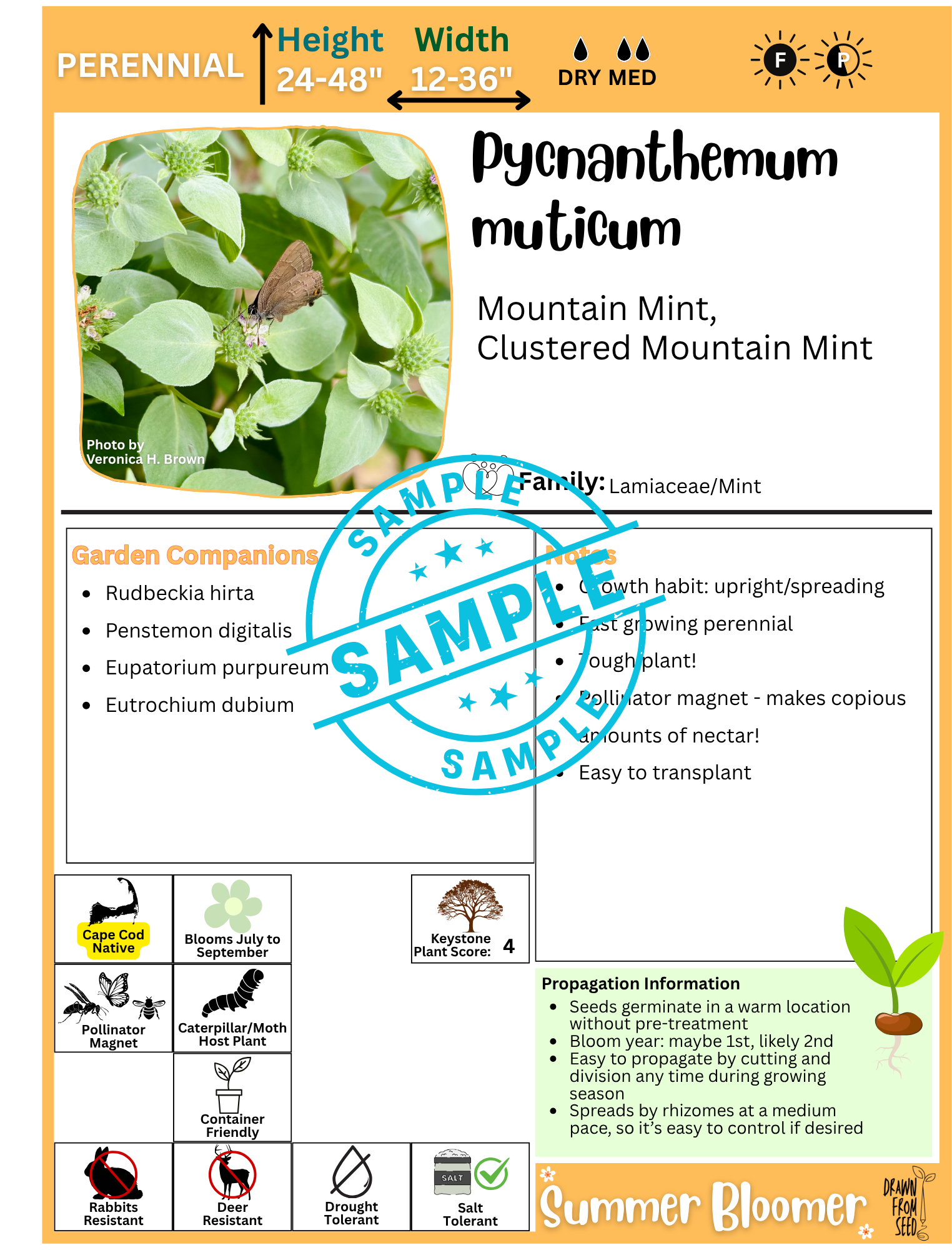 Why? Because I’m a nerd.